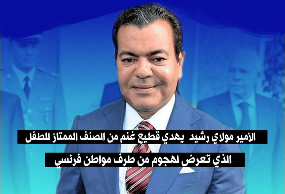الأمير مولاي رشيد يهدي قطيع غنم من الصنف الممتاز للطفل الذي تعرض لهجوم من طرف مواطن فرنسي