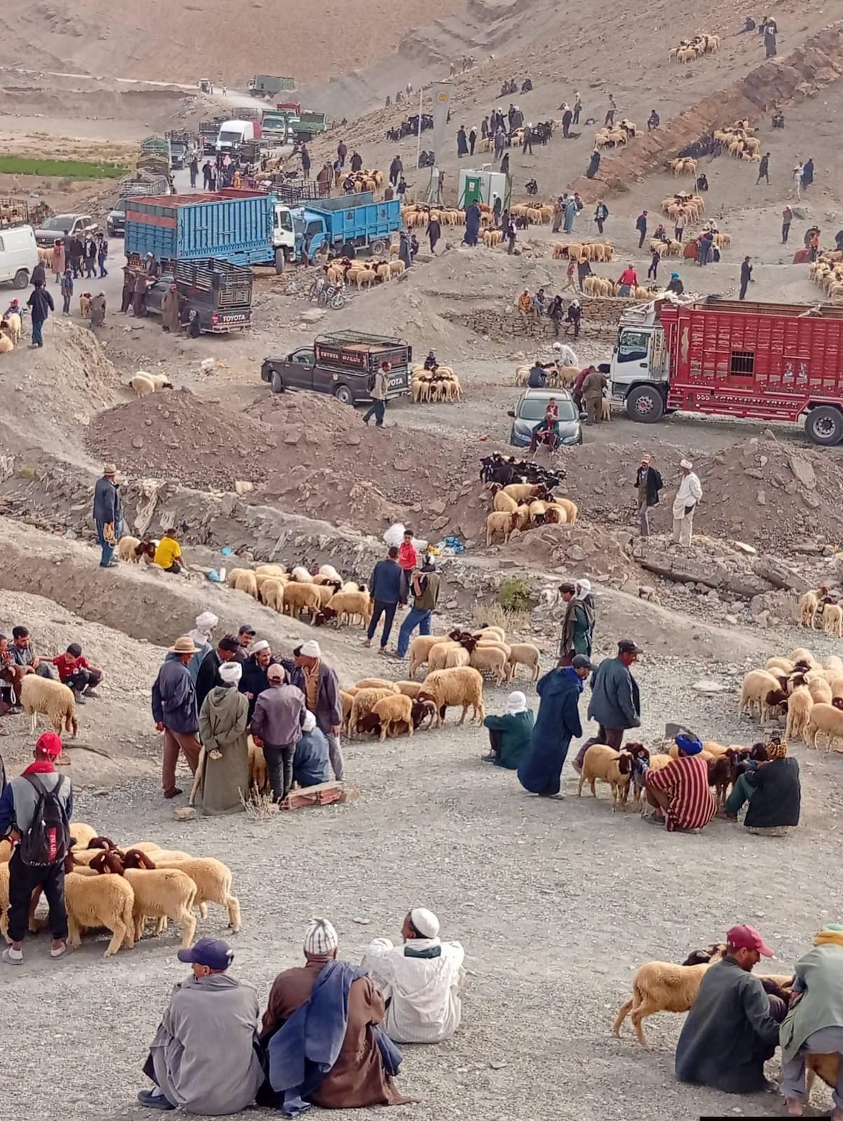 حين تدب الحياة في إملشيل.. السوق الأسبوعي يرسم لوحة نابضة بالحركة كل مساء جمعة