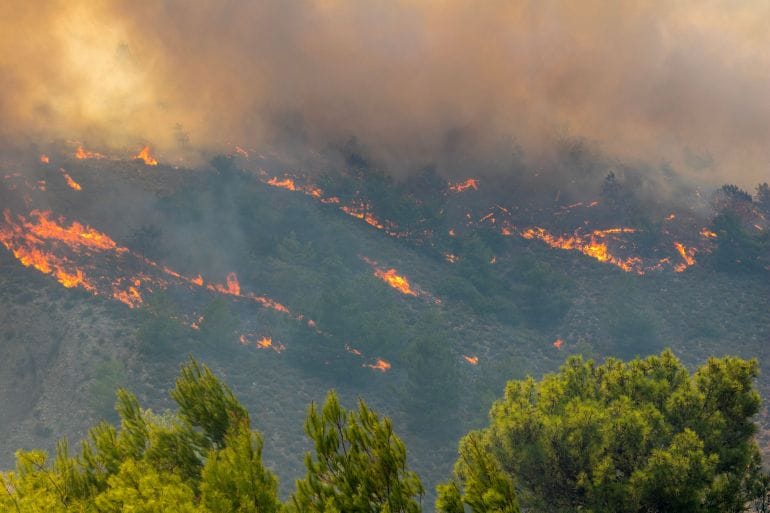 مبادرة إنسانية: المملكة المغربية تعرض دعم جهود إخماد حرائق الغابات في الجزائر