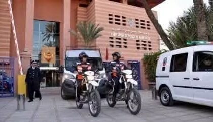حين تتحول التسامحة من حكاية مدرسية إلى قضية رأي عام 